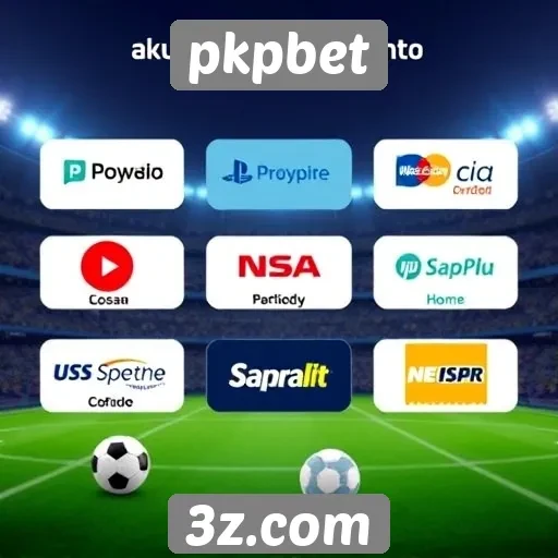 Métodos de pagamento aceitos pelo pkpbet